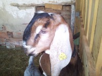 /album/galeria/a20130602-091422-jpg/