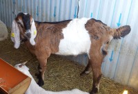 /album/galeria/a20130419-150541-jpg/