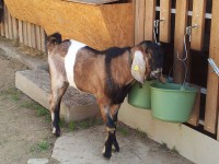 /album/galeria/a20130928-135131-jpg/