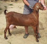 /album/galeria/a20140721-154336-jpg/