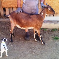 /album/galeria/a20131026-130612-jpg/