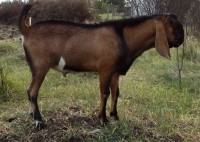 /album/galeria/dsc00777-jpg/