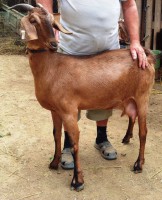 /album/galeria/a20140824-102232-jpg1/