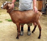 /album/galeria/a20140824-102253-jpg2/