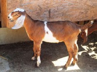 /album/galeria/a20140720-144751-jpg1/