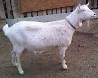 /album/galeria/a20131229-145349-jpg1/