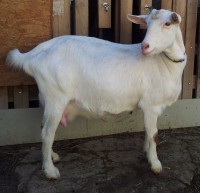 /album/galeria/a20140215-103718-jpg1/