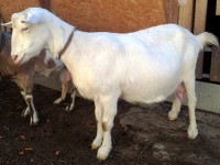 /album/galeria/a20140215-103835-jpg/