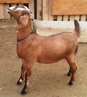 /album/galeria/a20140105-131041-jpg/