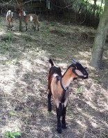 /album/galeria/a20140713-095724-jpg/