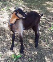 /album/galeria/a20140713-095755-jpg/