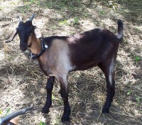 /album/galeria/a20140713-095802-jpg/