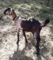 /album/galeria/a20140713-095824-jpg/