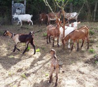 /album/galeria/a20140713-095829-jpg/