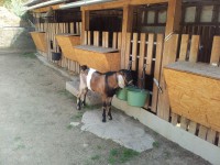 /album/galeria/a20130928-135122-jpg/