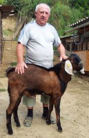 /album/galeria/a20140822-172518-jpg/