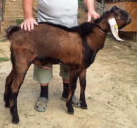 /album/galeria/a20140822-172524-jpg/