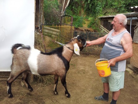 Egy kis csemegézés